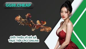 Giới thiệu về Đá gà trực tiếp CPC3 online
