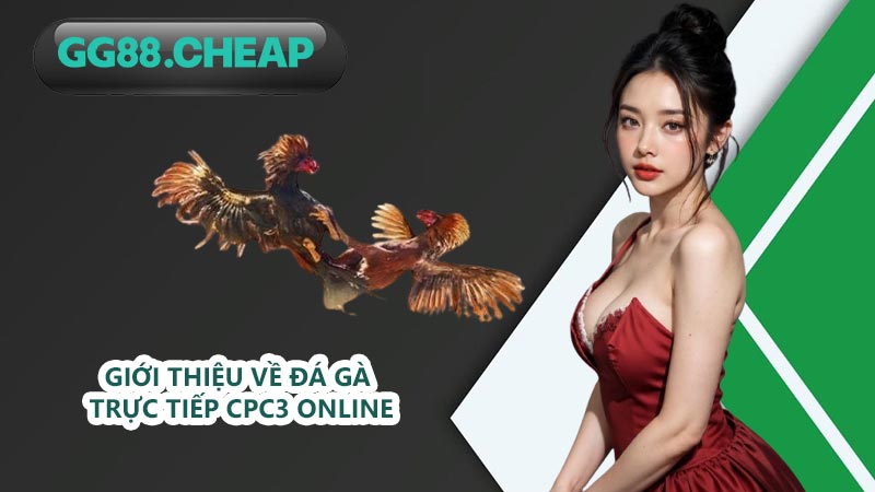Giới thiệu về Đá gà trực tiếp CPC3 online
